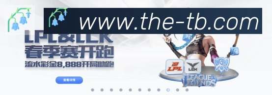 互动解说服务